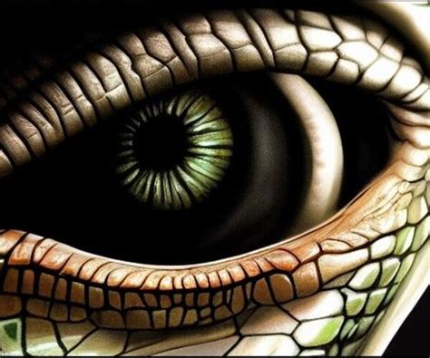 ArtStation - Reptile Eye 300 jpg artstation pack | Artworks