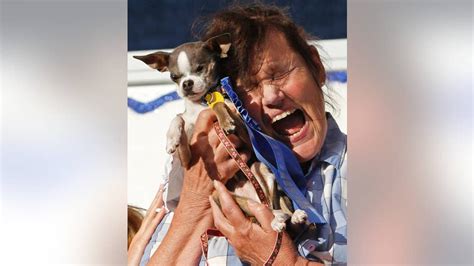 AP PHOTOS: With California's ugly dog contest coming up, here's a look ...