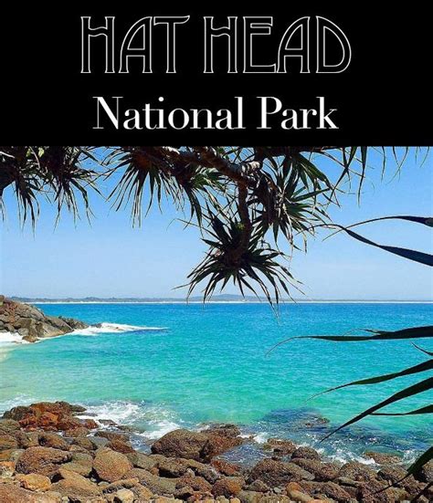 Highlights, walks and camping in Hat Head National Park, NSW, Australia. | Australian road trip ...