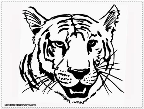 Realistic Tiger Coloring Pages at GetColorings.com | Free printable ...