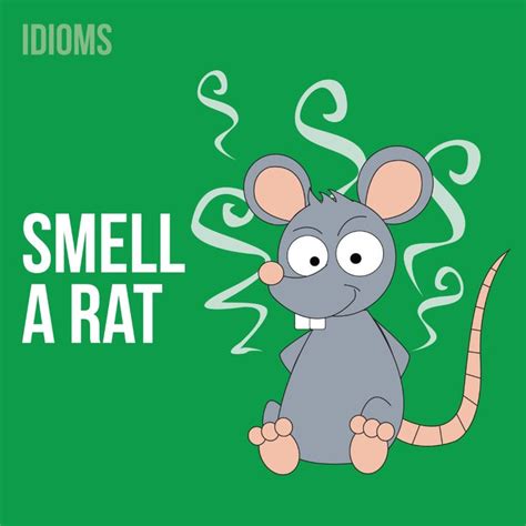 Smell a rat | Idioms, English idioms, Common english idioms