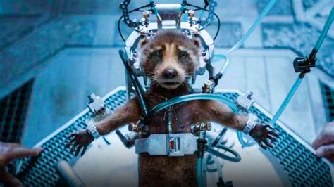 New Guardians of the Galaxy 3 Trailer Reveals Brutal Rocket Scene