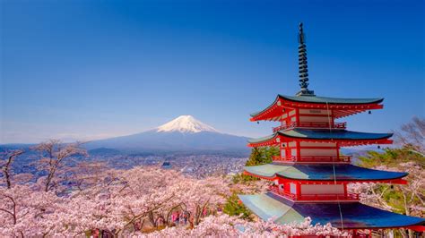 Dyed in Pink: The Cherry Blossom Guide Tokyo & Kyoto - KAYAK Singapore Blog