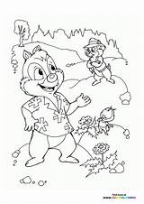 Chip Dale And Zipper  Coloring Pages For Kids sketch template