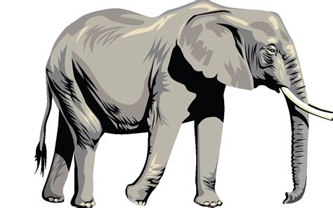 transparent background elephant clipart png - Clip Art Library