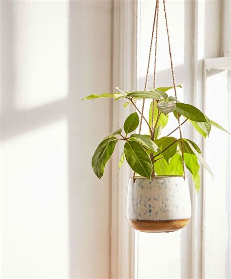 8 Hanging Planters That Will Make You and Your Plants Happy | Hanging ...