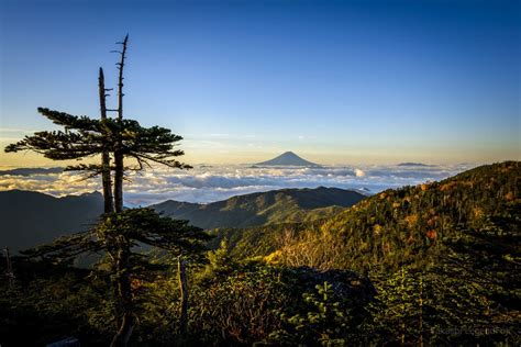 Autumn mountain | Travel tree, Landscape, Beautiful japanese gardens