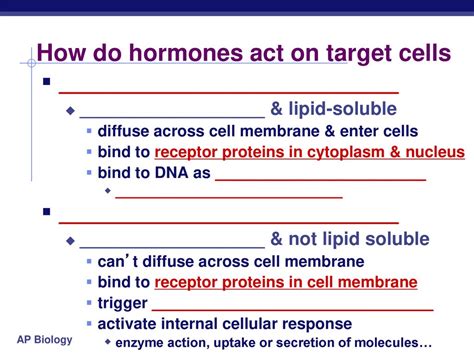 Endocrine System Hormones - ppt download