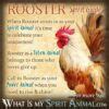 Rooster Symbolism & Meaning | Spirit, Totem & Power Animal