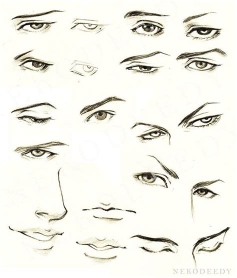 Found on Google from nekodeedy.deviantart.com Realistic Eye Drawing, Guy Drawing, Drawing Faces ...