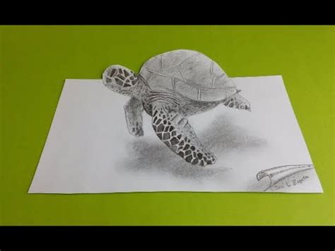 Dibujo 3D de una tortuga | Drawing 3D Turtle HD - YouTube