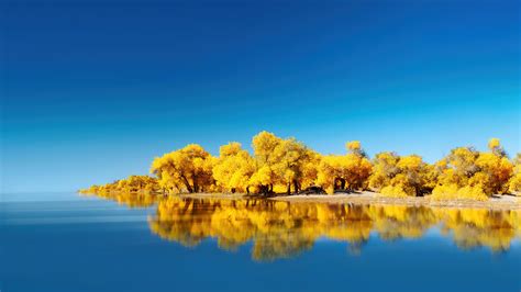 🔥 Download Lake Yellow Tree Scenery Huawei Wallpaper 4k HD Pc 2510f by @sethw | Lake 4K ...