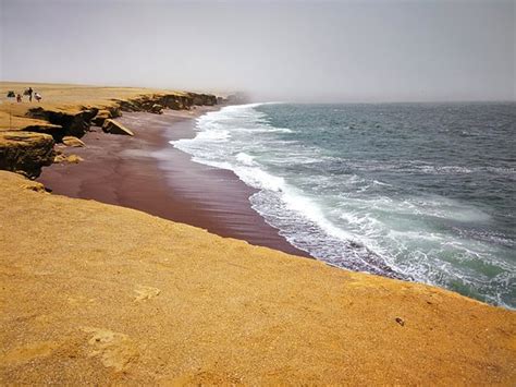 Paracas National Reserve (Ica Region) - 2020 All You Need to Know ...