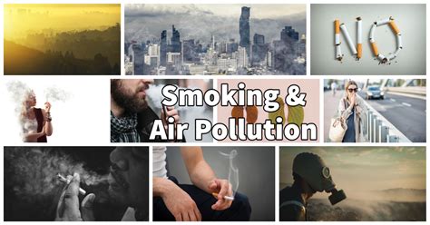 How smoking contributes to Air Pollution and affect the environment and our health - Natural ...