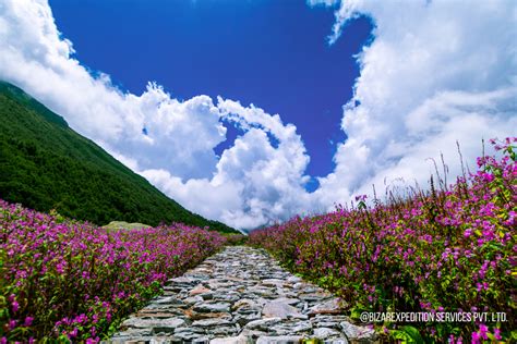 Valley of Flowers Hemkund & Auli Uttarakhand Package (5N/6D) >> BOOK NOW | BizareXpedition™