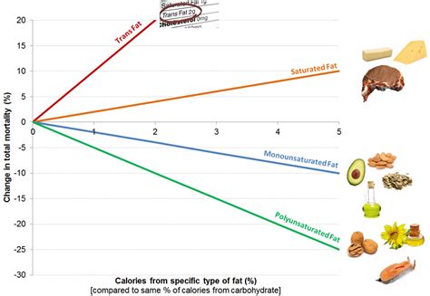 Monounsaturated fat benefits and foods high in monounsaturated fat