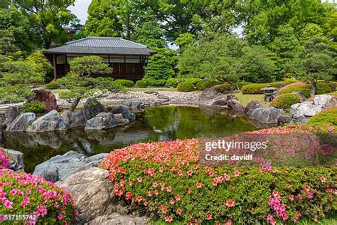 Chashitsu Garden Photos and Premium High Res Pictures - Getty Images