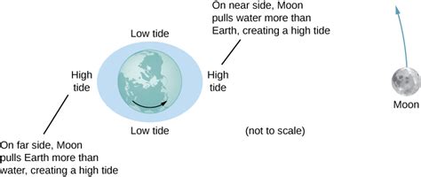 13.6 Tidal Forces | University Physics Volume 1