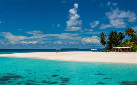 White sand beach with tropical trees during daytime HD wallpaper | Wallpaper Flare