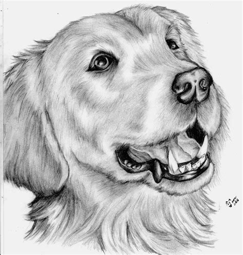 Resultado de imagen para mano izquierda dibujo a lapiz | Animal ...