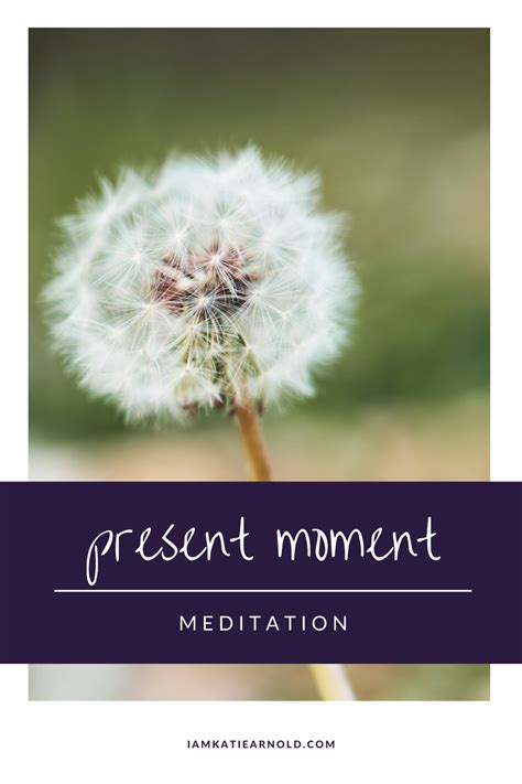 Present Moment Meditation | Meditation for beginners, Meditation ...