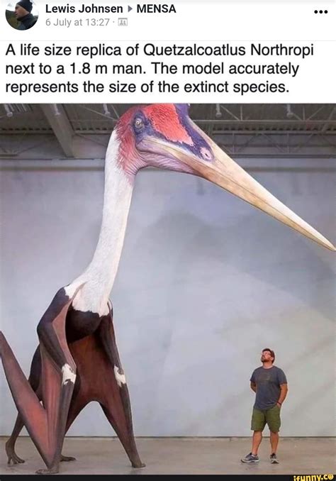 6 July at 13:27 A life size replica of Quetzalcoatlus Northropi next to ...