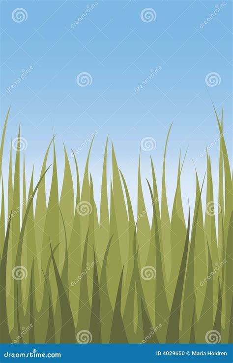 Fresh grass and sky stock illustration. Illustration of drawing - 4029650