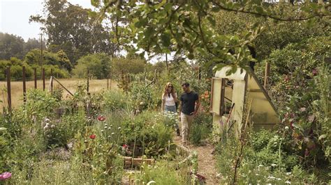 Experience SCP Mendocino Inn + Farm, a Sustainable Sanctuary on California’s Lost Coast - Local ...