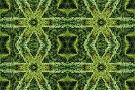 Green Manipulated Reality Free Stock Photo - Public Domain Pictures