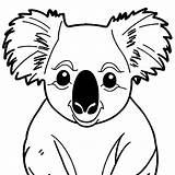 Walking koala coloring page Lulu Pages sketch template