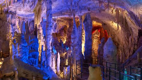 Postojna Cave - Slovenia - WonderOUT