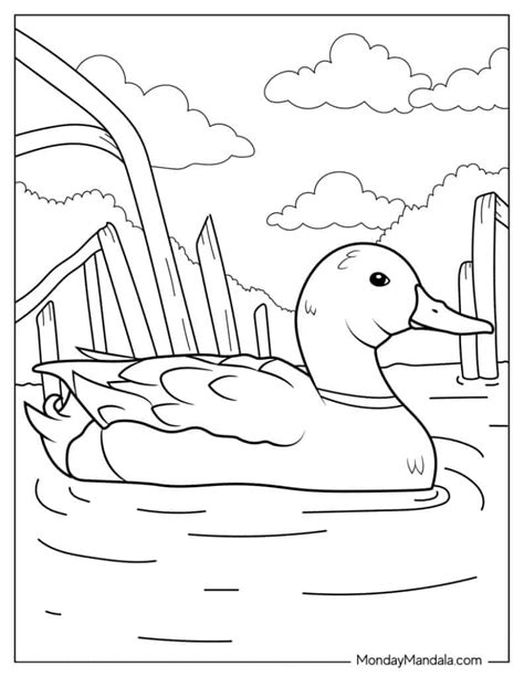 28 Cute Duck Coloring Pages (Free PDF Printables)