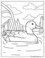 Duck Coloring Pages sketch template