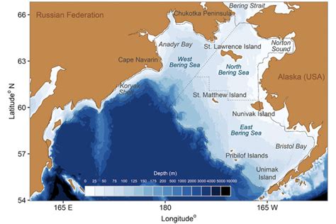 Climate-Driven Shifts in Fish Populations Across International ...