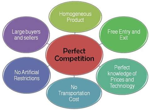 What is Perfect Competition Market Structure? definition, meaning and ...