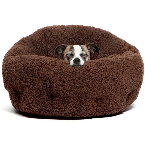 9 Best Heated Dog Beds for Winter | The Family Handyman