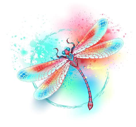 Dragonfly Wings Watercolor Stock Illustrations – 474 Dragonfly Wings ...