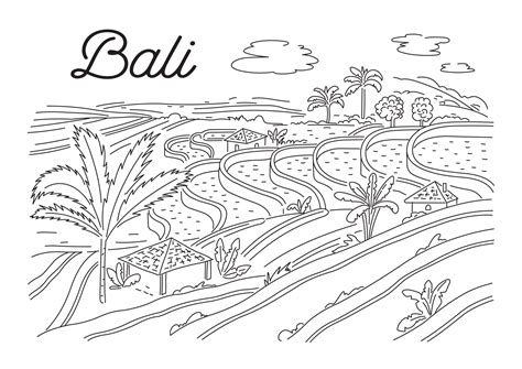 Rice terraces in Bali. Indonesian nature. Vector linear illustration, sketch 12994698 Vector Art ...