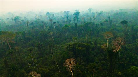 Human Activities Are Drying Out the Amazon: NASA Study – Climate Change: Vital Signs of the Planet