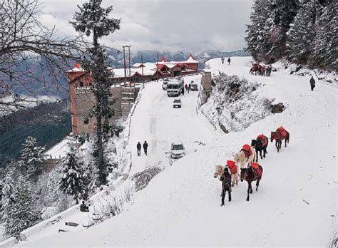 Shimla In Winter: A Guide For Having The Best Vacay Ever!