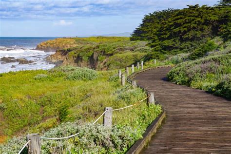 14 Best Things to Do in Cambria, California: Stay, Play, and Eat! - Roadtripping California