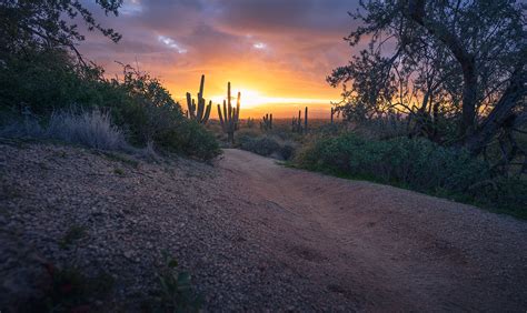 August 10, 2023 | Arizona Highways