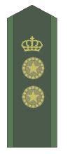 Sweden Swedish Army ranks land ground forces combat field uniforms ...