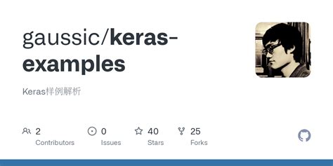 GitHub - gaussic/keras-examples: Keras样例解析