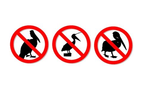 Premium Vector | Warning sign no pelicans vector design