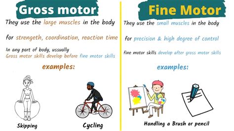 What Are Examples Of Fine And Gross Motor Skills | Webmotor.org