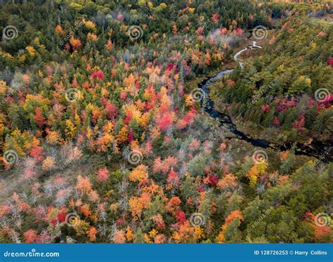 Fall Foliage Acadia National Park in Autumn Stock Image - Image of ...