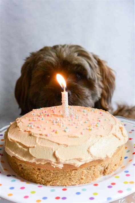 Edible Dog Birthday Cake Recipes - Birthday Wishes