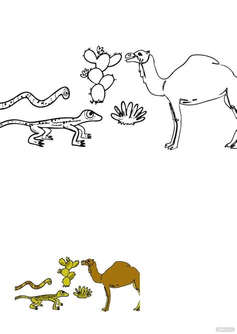 Desert Animals Coloring Pages in PDF - Download | Template.net