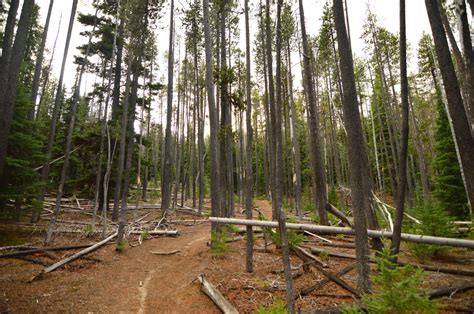 Fawn Lake Loop - Hike Oregon